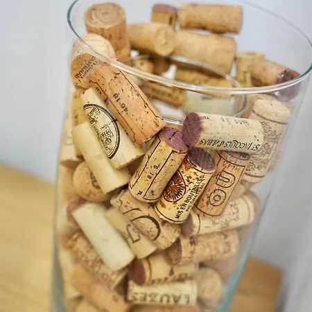 酒店 De France 纳博讷