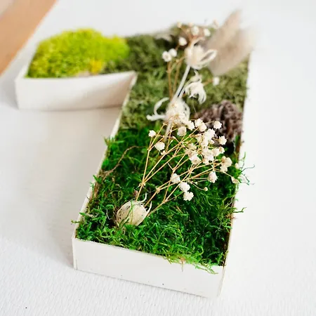 מלון De France 2*