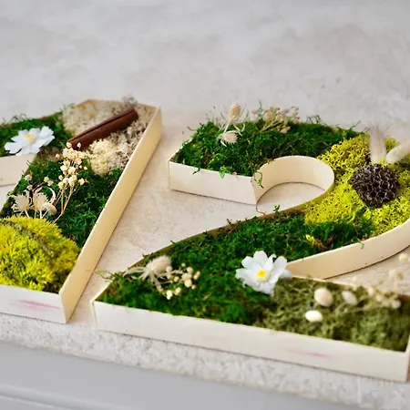 מלון De France נרבון