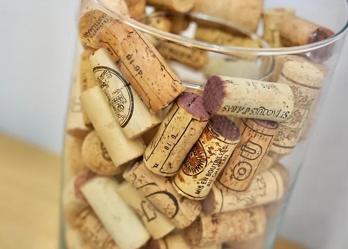 Hotel De France Narbona